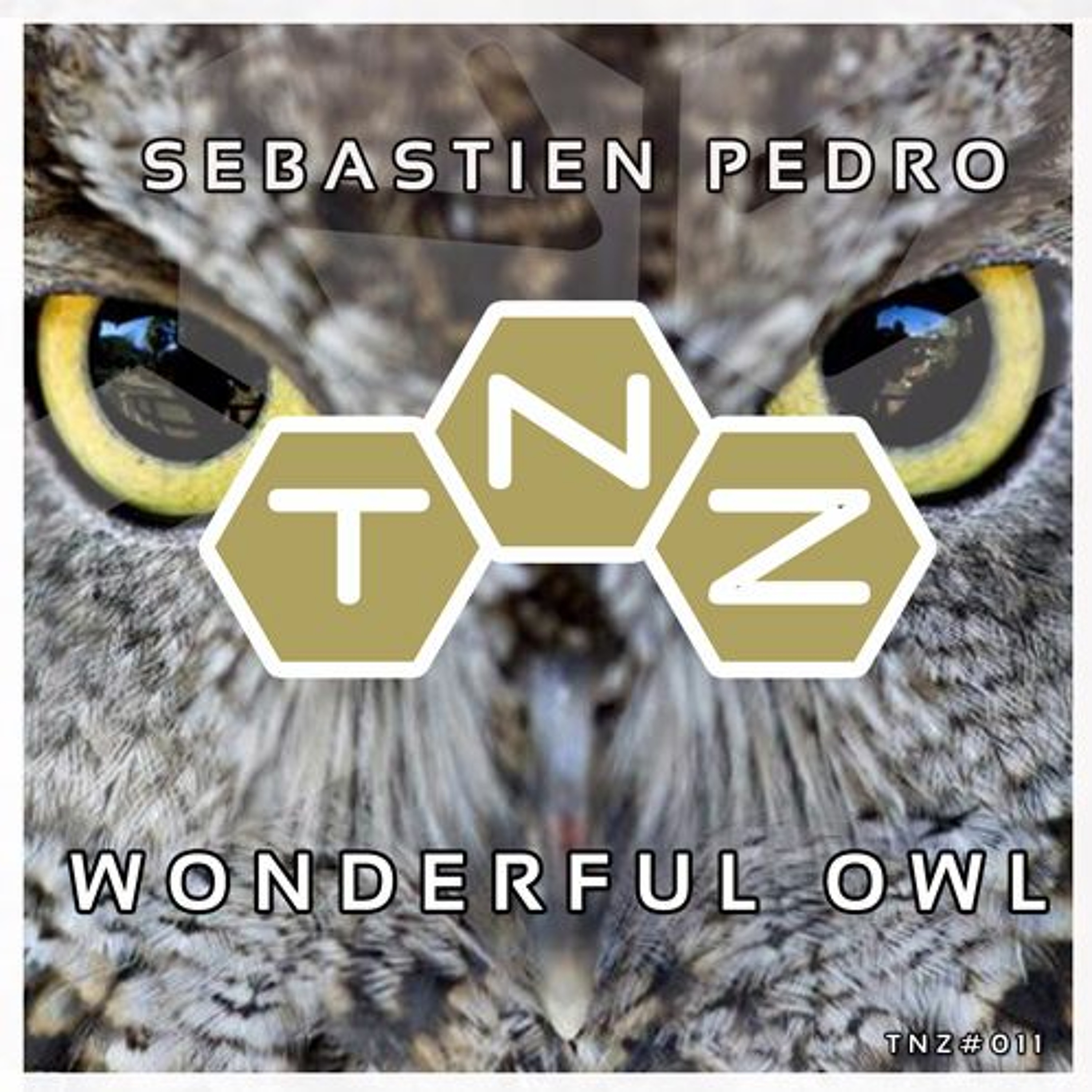 Wonderful Owl(Original Mix) Sebastien Pedro episode artwork