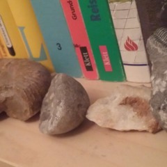 Große Momente der Stein-Schere-Papier-Geschichte