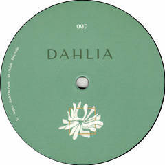 Various (Nopax, Solah, Type X) - Dahlia997 (DAHLIA997)