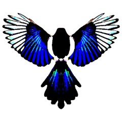 Can you see? (Simon The Magpie remix)