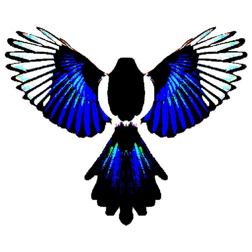 Can you see? (Simon The Magpie remix)