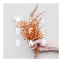 Dutchkid - Wildflower