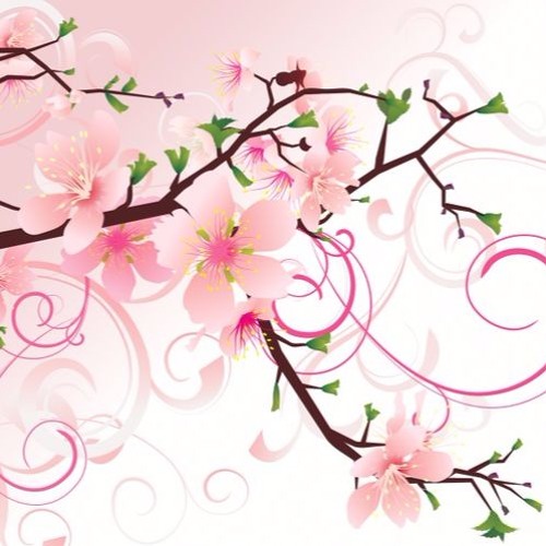 Qasida - Mohammad Motamedi  Rosario La Tremendita  قصیده - محمد معتمدی و روزاریو ترمندیتا