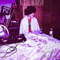 Yung Haze - N Tha Marsh [Prod. Kushworm]