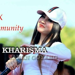 🎶Jaran Goyang - Nella Kharisma DJ Remix 2017 (CMNCommunity)