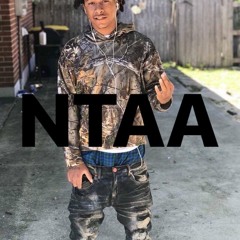 NTAA - BIG BUCKS