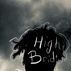 HighBRID