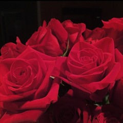 Like I Love You
