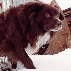 TUCCO / NICKI MINAJ  YEAH  (official video available)