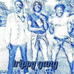 AcetripleLtakenoL-Fuck Norwood