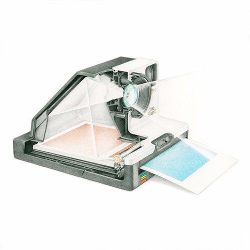 Anatomy of a Polaroid at The Photographer's Gallery ...