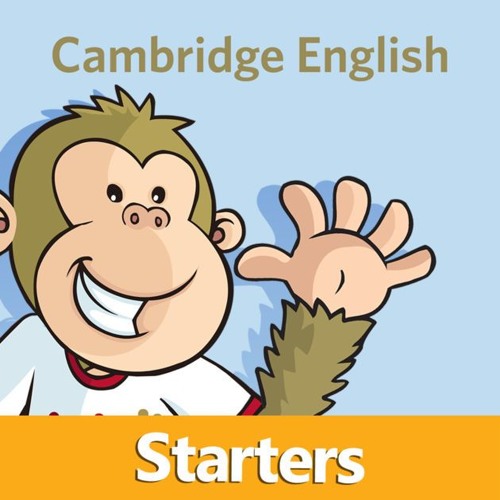 Image result for yle starters