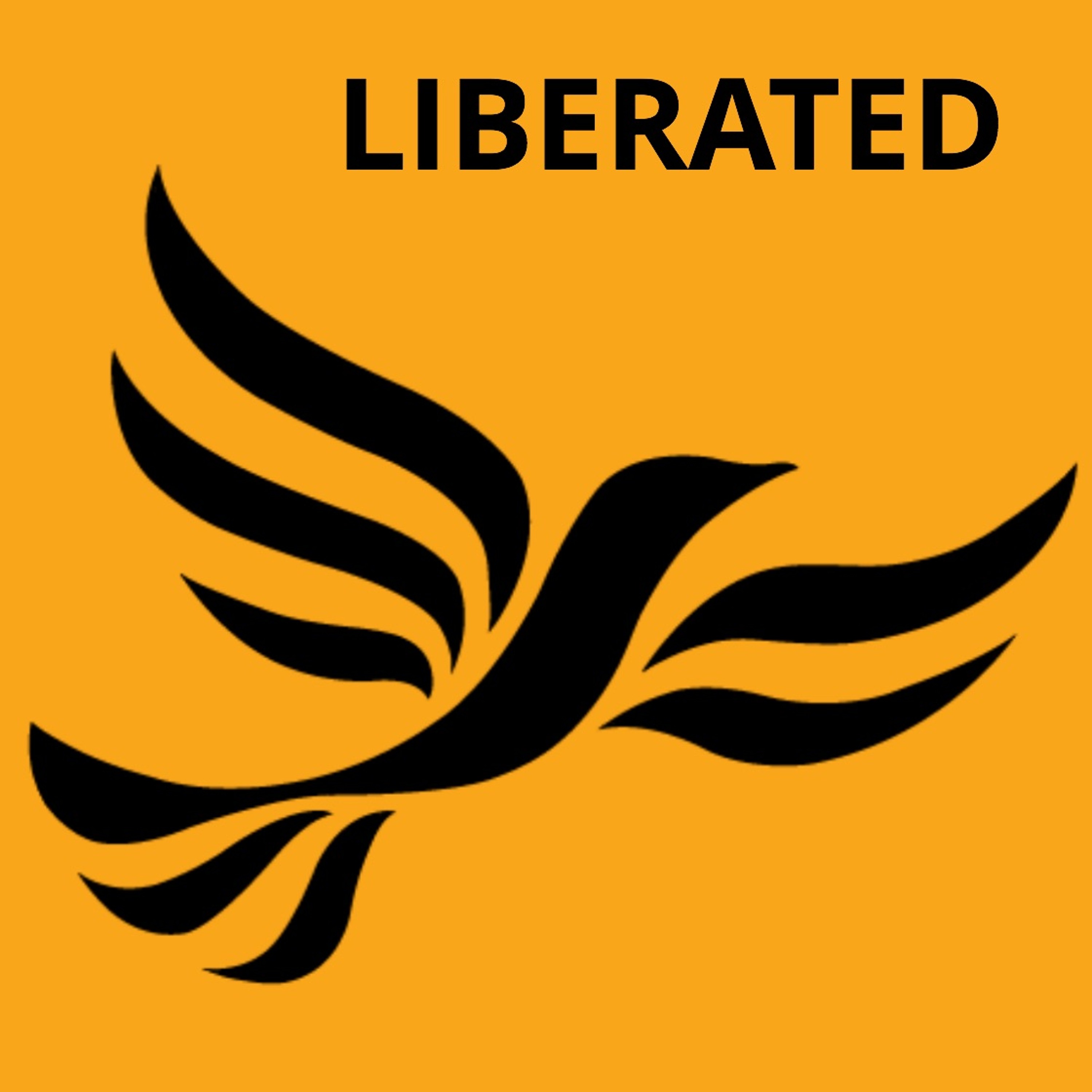 Changing the Face of the Party. Diversity