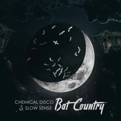 Chemical Disco & Slow Sense - Bat Country