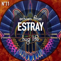 Echoes from Estray - Hug Life