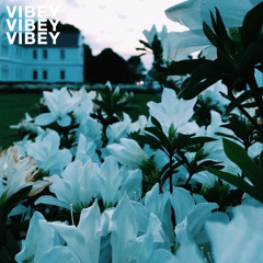 vibey (feat. Answr)