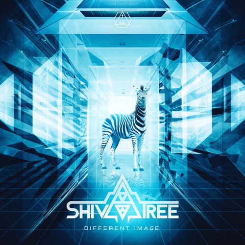 ShivaTree - Different Image (Original Mix)