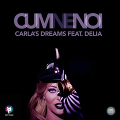 Cum Ne Noi (feat. Delia)