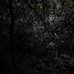 เข้าใจ - เฉลียง (Cover)