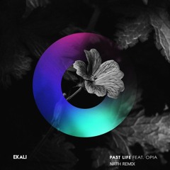 ekali - past life ft. opia (NRTH remix)