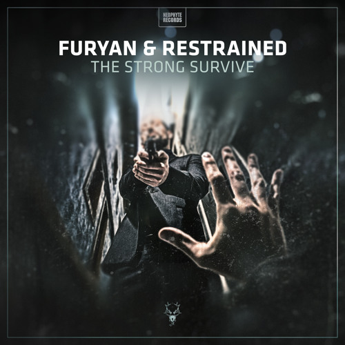Furyan - Polly Wants A Cracker