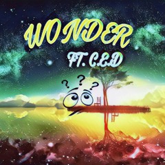 WONDER FT. C.E.D. (Prod. By jtbs.)