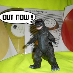 The POLYGIRL - P.T.D.P./Snippet of V.A. Vinyl Release Spiral Of Synapses @ Analogic Density Rec.005