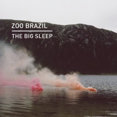 Zoo Brazil - The Big Sleep