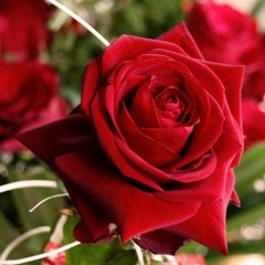 L’amour et la musique peuvent tout