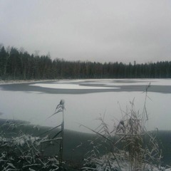A field recordist walks into a bog