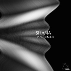 Hans Resler - Negev (Lars Neubert Remix)