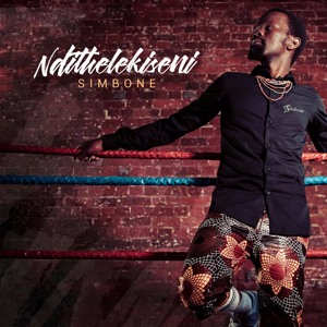 Ndithelekiseni by Simbone