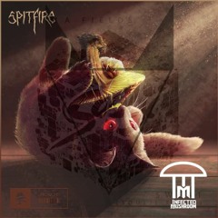 Karma Fields - Sweat (Soulji Remix) Vs Infected Mushroom - Spitfire