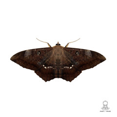 Monoteck - Detox (Original Mix) (POM005)