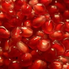 Granatum (Excerpt)
