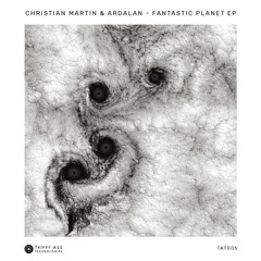 Track of the Day: Christian Martin & Ardalan “Supermoon”