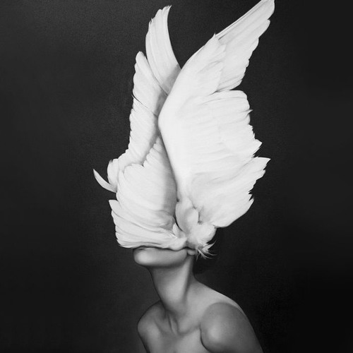 Nils Johnson - The First #1