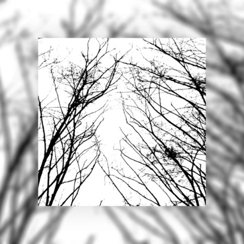 Nayky, Vesna - Branches