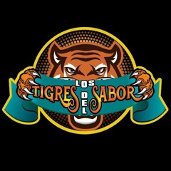 132 - La quiero olvidar - Los tigres del sabor [ Kervel Producer ]