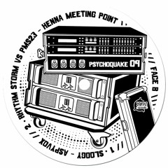 Rhythm Storm Vs Pms23 - Henna Meeting Point (Psychoquake 09 - Vinyl & Digital)