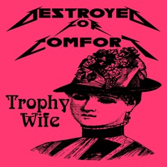 My Face When Motherfuckers Try To Porp Me (TROPHY WIFE album teaser)