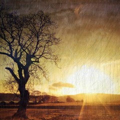The Wind, The Rain And The Sun