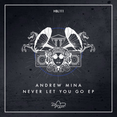 Andrew Mina - Never Let You Go (Original Mix)