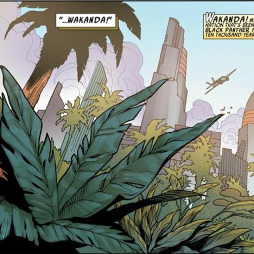 The Wakanda (Original Mix) {pre view}