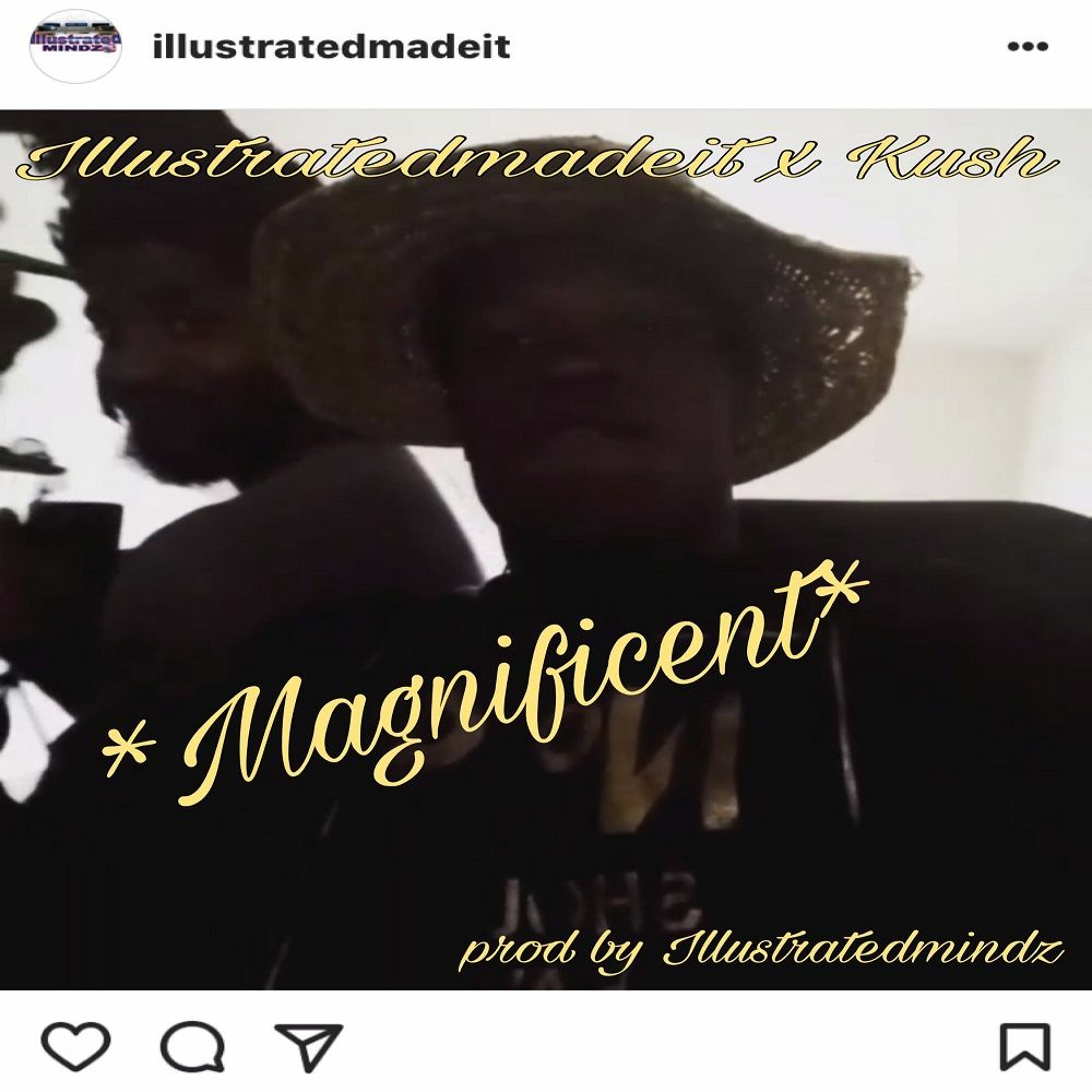 ILLUSTRATEDMADEIT