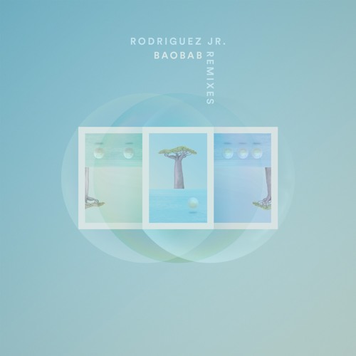 Rodriguez Jr. - Baobab (Tim Green Remix)