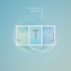 Rodriguez Jr. - Radian (Audiofly Remix)
