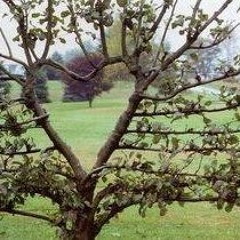 sweet nothings playlist