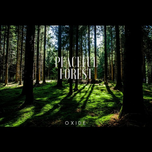 Officialoxide Peaceful Forest Spinnin Records