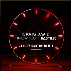 I Know You - Craig David Ft. Bastille ( Ashley Barton Remix )